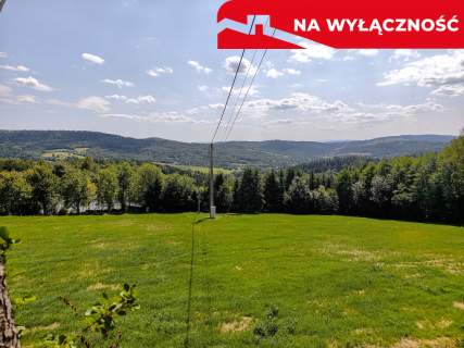 Działka 90 ar z Wz Olszowa, TANIO 