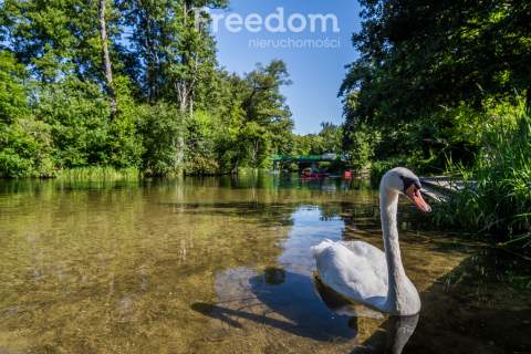 Działka i biznes z linią brzegową Mazury