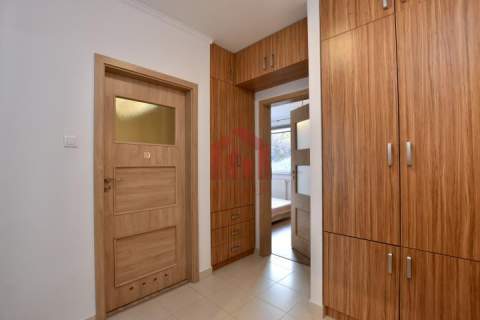 2-pokojowe mieszkanie, 52 m2, ul. Raginisa