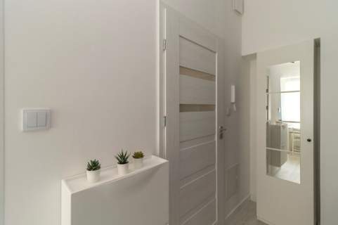 Narutowicza 56 C, studio w centrum, pet-friendly