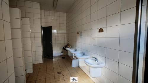 Hala produkcja spożywcza chłodnia wynajem