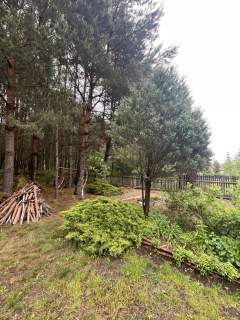 Dom wolnostojący na działce 3000 m2.