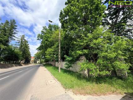 DZIAŁKA INWESTYCYJNA Z POTENCJAŁEM 6,9 ha DŹBÓW