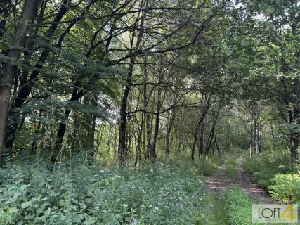 Duża działka z lasem , ponad 1,80 ha