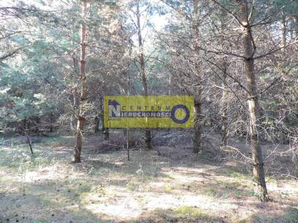 Działka w miejscowości Kłudno.