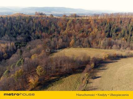 Działka rolna na sprzedaż, 20752 m2, Nowy Waliszów