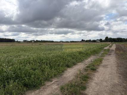 Działka rolna 1,21 ha, kształt trapezu, dojazd z g