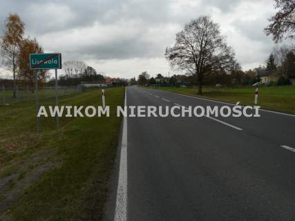 Działka rolna na sprzedaż, 58340 m2, Lisowola