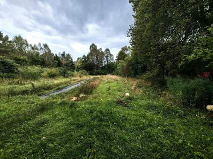 Ukryta enklawa w zalesionej kotlinie-Dom 12 200m