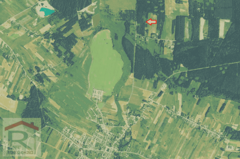 Działka w otoczeniu lasów