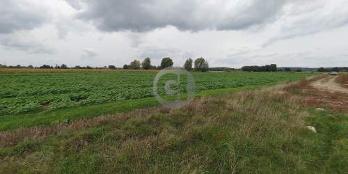 4 działki budowlane w Wieprzycach pod Gorzowem