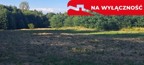 Urocza działka tuż przy lesie. Majdan Stary
