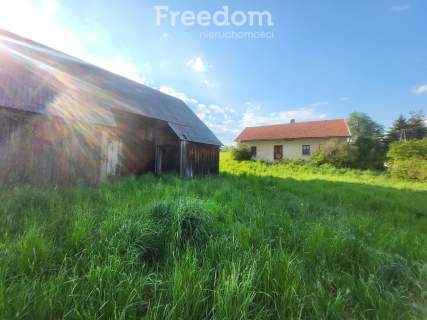 Duża działka ze starym domem i stodołą