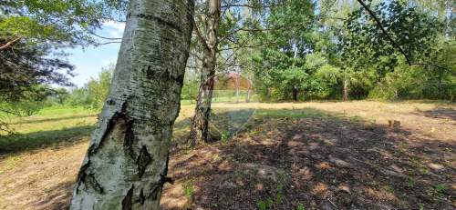 Działka z potencjałem budowlanym 1426 m - Bielicha k. Radomia