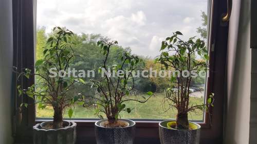 Bielany Residence Metro Balkon zieleń 