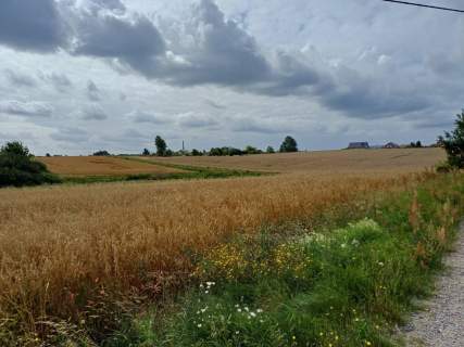 Działki budowlane w Żukowie