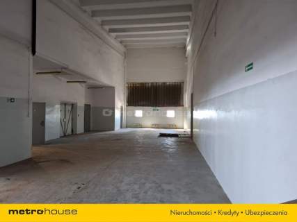 Wynajem hali w Toruniu o powierzchni 1518,4 m2.