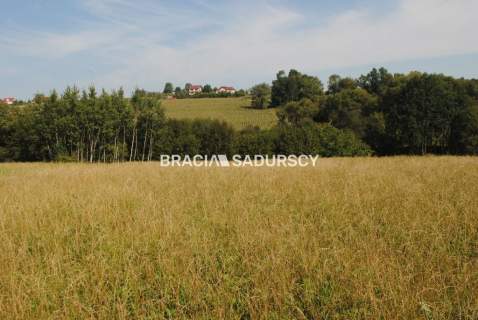 Okazja Do sprzedania duża nieruchomość .