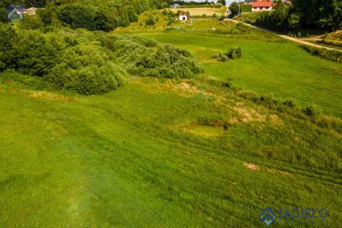 Działka siedliskowa na sprzedaż, 15600 m2, Chmielno
