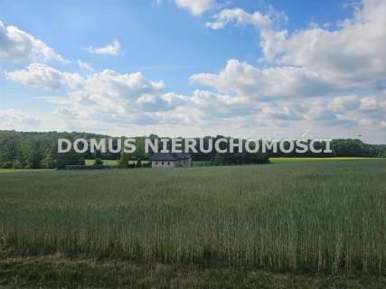 Działka w Tworzyjankach