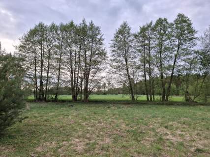 Działka budowlana 866m przy lesie.