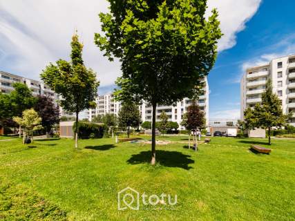 4 pok - Okna na 3 strony - Duże zielone patio