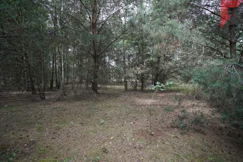 Duży grunt rolny 1,06 ha Stefanowice k/Zbąszynia
