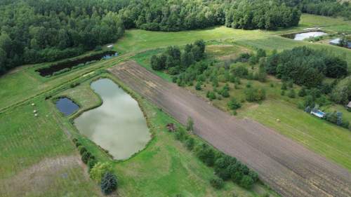 Działka,Luta, Włodawa, 1,5 ha, budowlana, urokliwa
