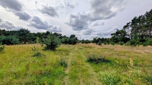 Wymarzony dom w naturze działka w okazyjnej ceni