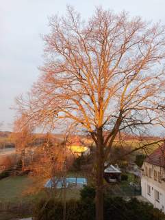 Sprzedam mieszkanie