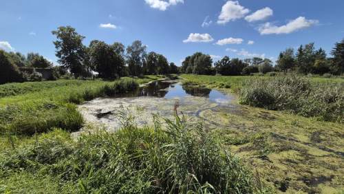 UNIKAT DWÓR NAD RZEKĄ TINA - RÓŻANY k. Elbląga