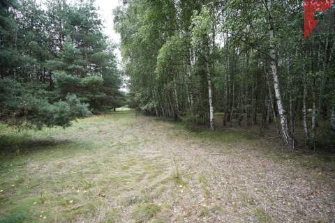 Duży grunt rolny 1,06 ha Stefanowice k/Zbąszynia