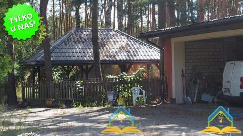 Działka leśno-budowlana blisko węzła S7, gm. Tarcz