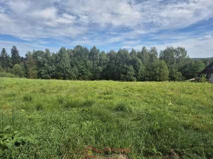 Bochnia , Wiśnicz ,działka budowlana pod lasem
