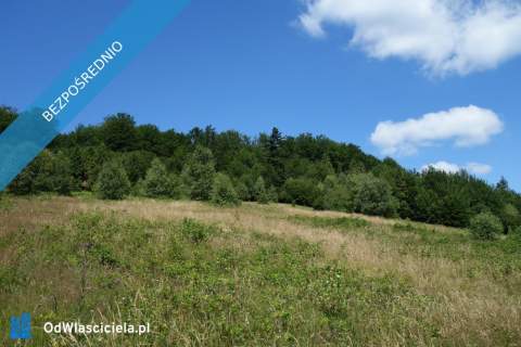Brenna 2.53 ha pod zabudowe i domki letniskowe