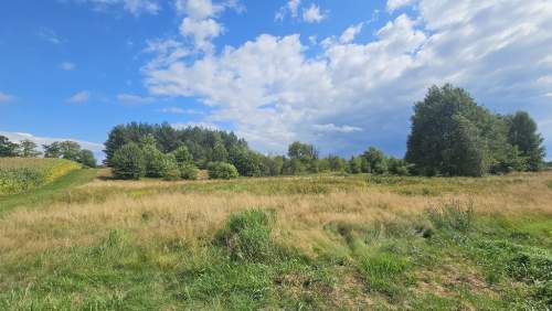 Działka,Luta, Włodawa, 1,5 ha, budowlana, urokliwa