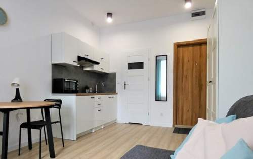 Przybyszewskiego 19, Górna, funkcjonalne studio