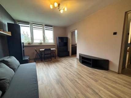 Zbaraska 18, Dąbrowa, kawalerka pet friendly