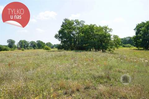 Działka nr 108/63, Deszczno, WZ, możliwe 1750 m2