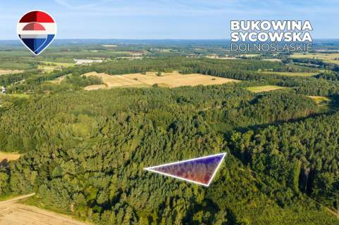 Działka leśna pow. 29.600 m , Bukowina Sycowska