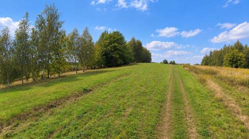 Działka 9,73 ar WZ ul. Dębicka Rzeszów