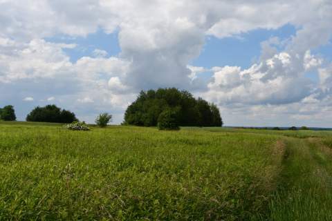 Działka inwestycyjna 81.7a w Krasne