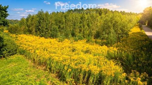 Działka inwestycyjna 2,34 ha przy DK51