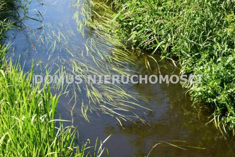 Dom z młynem nad rzeką Rawka
