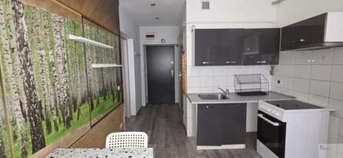 62 m2 2 duże pokoje 1. piętro Katowice, Załęże