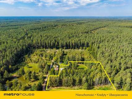 Dom w środku lasu - 9512 m2 - Walne, Wigry