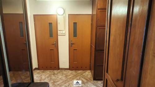 Na wynajem 2 pokoje 50 m Loggia ul. Pabianicka