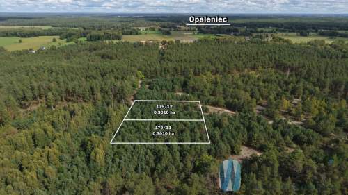 Działka rolna 3010 m2 / Opaleniec / Chorzele