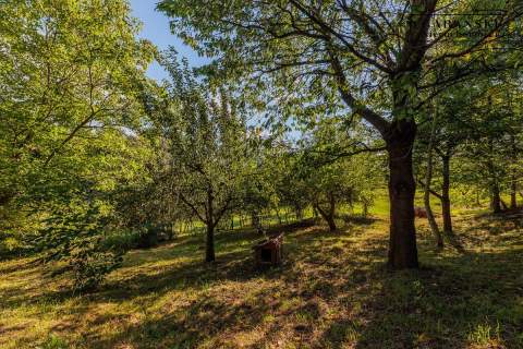 DREWNIANY DOM PO GRUNTOWNYM REMONCIE NA 1,35 HA -