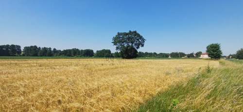Działka przy trasie 714 Grodzsko Rzgów pow. łódzki wschodni
